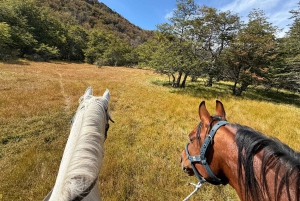 Puerto Natales: Escursione a cavallo di un'intera giornata sulle montagne