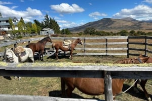 Puerto Natales: Escursione a cavallo di un'intera giornata sulle montagne
