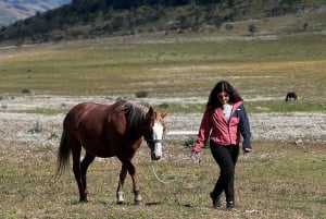 Puerto Natales: Escursione a cavallo di un'intera giornata sulle montagne
