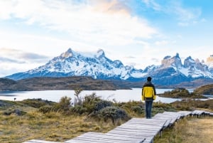 Puerto Natales: Full Day Torres del Paine + Milodon Cave