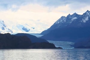 Puerto Natales : Journée complète Torres del Paine + grotte de Milodon