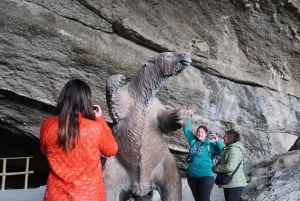 Puerto Natales : Journée complète Torres del Paine + grotte de Milodon