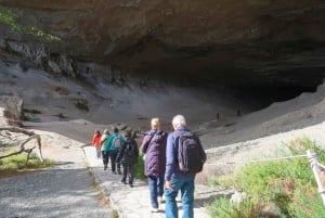 Puerto Natales : Journée complète Torres del Paine + grotte de Milodon