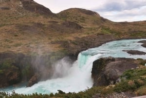 Puerto Natales : Journée complète Torres del Paine + grotte de Milodon