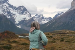 Puerto Natales : Journée complète Torres del Paine + grotte de Milodon