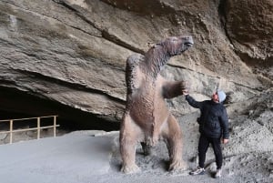 Puerto Natales : Journée complète Torres del Paine + grotte de Milodon