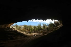 Puerto Natales : Journée complète Torres del Paine + grotte de Milodon