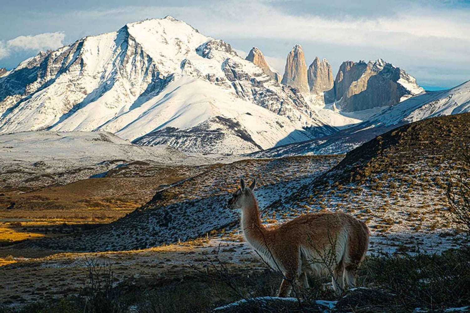 Puerto Natales: Hele dag Torres del Paine Tour