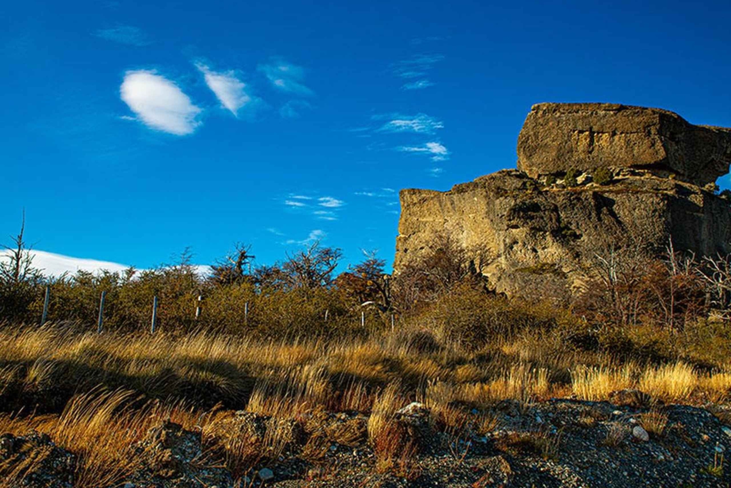 Puerto Natales: Hele dag Torres del Paine Tour