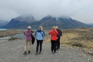 Puerto Natales: Tour de día completo a Torres del Paine