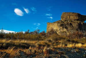 Puerto Natales: Hele dag Torres del Paine Tour