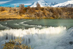 Puerto Natales: Hele dag Torres del Paine Tour