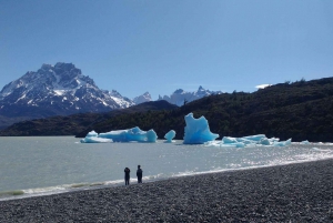 Puerto Natales: Grey Glacier Navigation w/ Transport