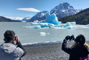 Puerto Natales: Grey Glacier Navigation w/ Transport