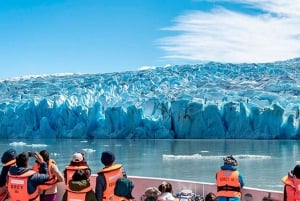 Puerto Natales: Grey Glacier Navigation w/ Transport