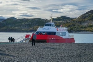 Puerto Natales: Grey Glacier Navigation w/ Transport