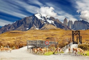 Puerto Natales: Guided Base Torres Trek