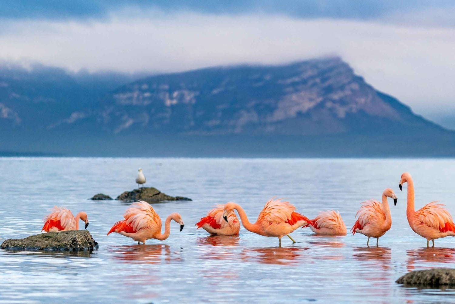 Puerto Natales: Historical Tour