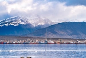 Puerto Natales: Historical Tour