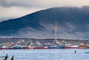 Puerto Natales: Historical Tour