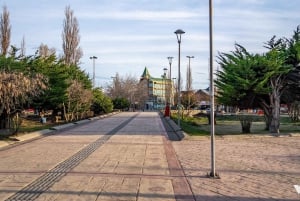 Puerto Natales: Historical Tour