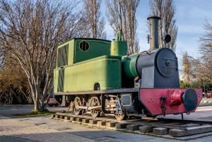 Puerto Natales: Historical Tour