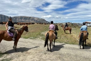 Puerto Natales : Randonnée à cheval avec Horse Connection