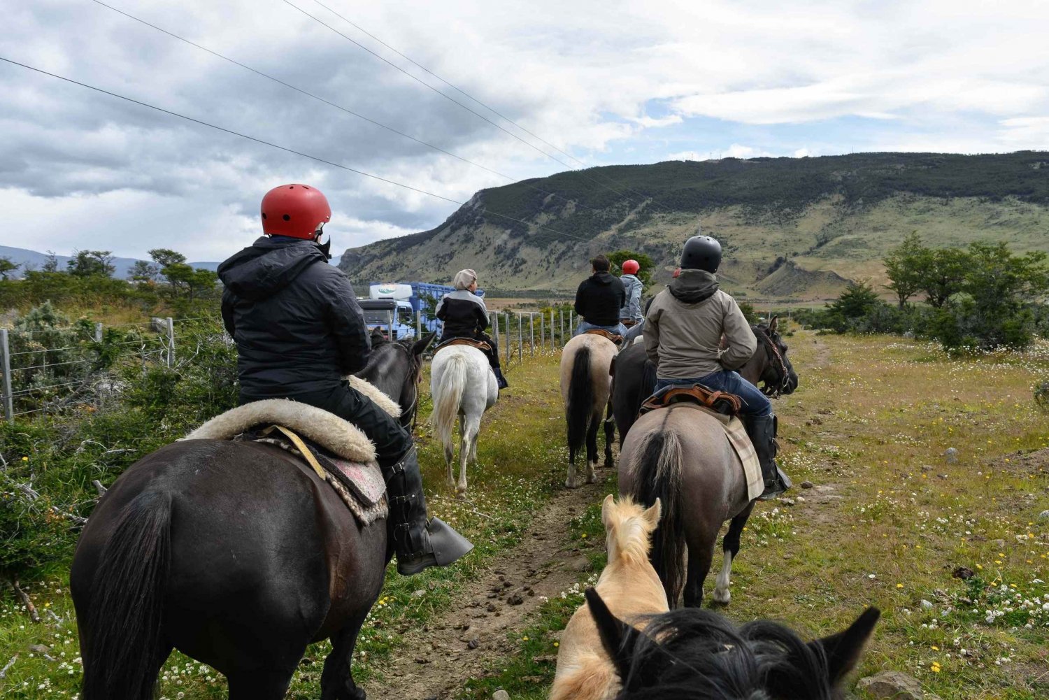 Puerto Natales: Horseback Riding to Dorotea Fjord Lookout