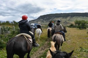 Puerto Natales: Cabalgata al Mirador del Fiordo Dorotea