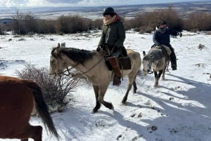 Puerto Natales: Cabalgata al Mirador del Fiordo Dorotea