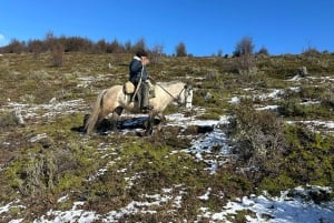 Puerto Natales: Cabalgata al Mirador del Fiordo Dorotea