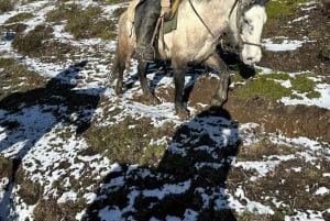 Puerto Natales: Cabalgata al Mirador del Fiordo Dorotea