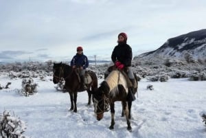 Puerto Natales: Cabalgata al Mirador del Fiordo Dorotea