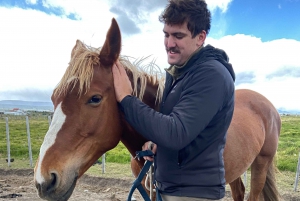 Puerto Natales: Jazda konna z Horse Connection