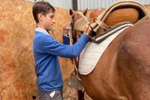 Puerto Natales: Jazda konna z Horse Connection