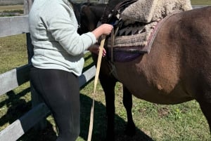 Puerto Natales: Jazda konna z Horse Connection