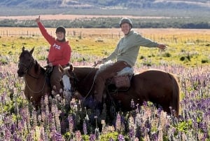 Puerto Natales: Passeios a cavalo com a Horse Connection