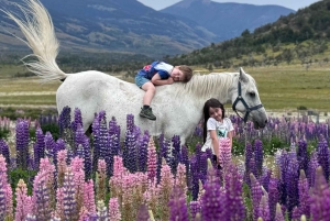 Puerto Natales: Passeios a cavalo com a Horse Connection