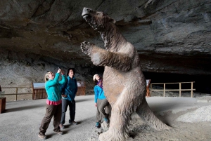 Puerto Natales: Giornata intera privata Torres + Grotta di Milodon