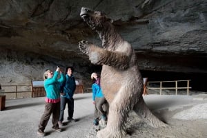 Puerto Natales: Private Full Day Torres + Milodon Cave