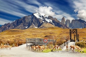 Puerto Natales: Private Full Day Torres + Milodon Cave