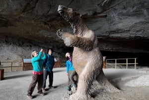 Puerto Natales: Día Completo Privado Torres + Cueva del Milodón