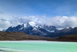 Puerto Natales: Puma Tracking Photo Safari
