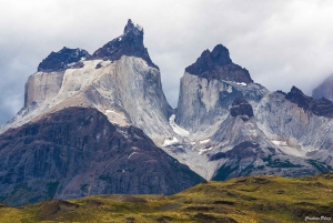 Puerto Natales: Puma Tracking Photo Safari