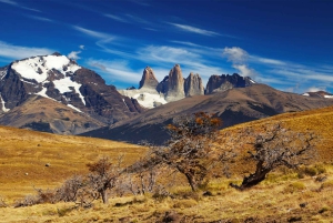 Puerto Natales: Puma Tracking Photo Safari