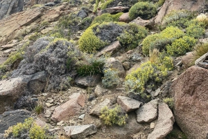 Puerto Natales: Rock climbing in Patagonia