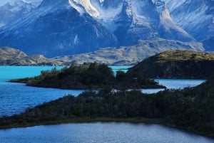 Puerto Natales: Torres del Paine Full Day Tour