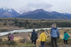 Puerto Natales: Torres del Paine Full Day Tour