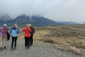Puerto Natales: Torres del Paine Full Day Tour