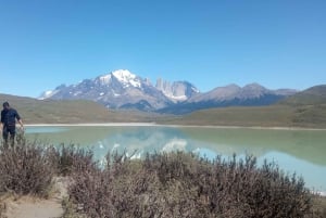 Puerto Natales: Torres del Paine Full Day Tour